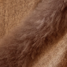 Vicuna