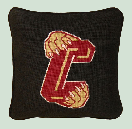 University of Charleston Pillow