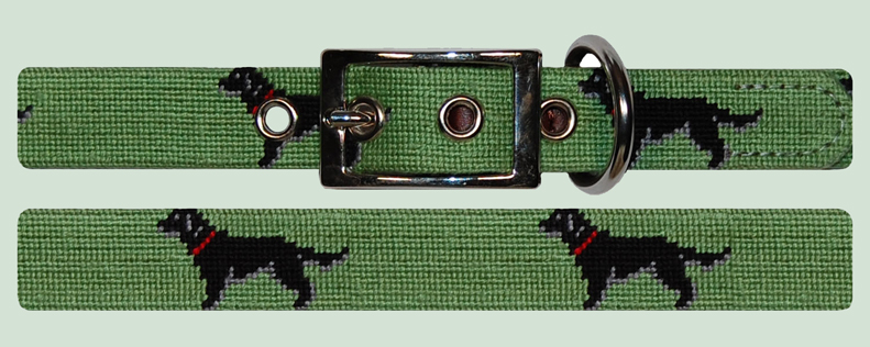 Dog on Green Dog Collar