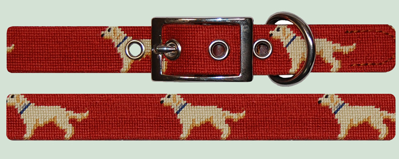 Dog on Rust Dog Collar