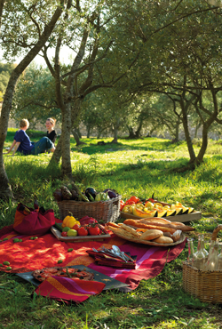 Provence Tablecloth Strawberry